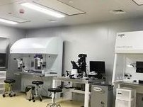 2026年浙江试管婴儿医院推荐及费用详解