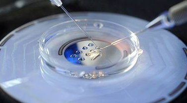 成都试管费用报销政策文件一览，未来辅助生殖入医保可报