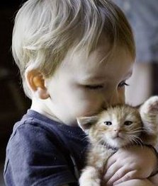 安徽医科大附一特殊试管成功率有多高？怎样提高成功率？